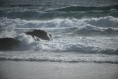 Enlarge photo 152