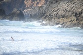 Enlarge photo 158