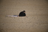 Enlarge photo 166