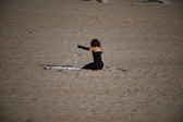 Enlarge photo 171