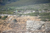 Enlarge photo 175