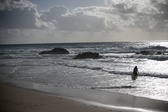 Enlarge photo 184
