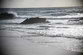 Enlarge photo 185