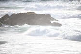 Enlarge photo 187