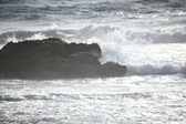 Enlarge photo 189