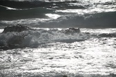 Enlarge photo 196