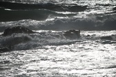 Enlarge photo 197