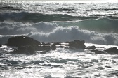 Enlarge photo 198