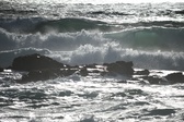 Enlarge photo 199