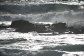 Enlarge photo 201