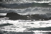 Enlarge photo 202
