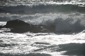 Enlarge photo 203