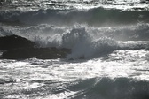 Enlarge photo 204