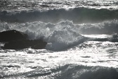 Enlarge photo 205