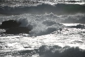 Enlarge photo 206