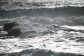 Enlarge photo 207