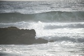 Enlarge photo 209