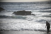 Enlarge photo 210