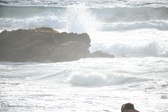 Enlarge photo 211