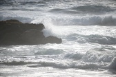 Enlarge photo 214