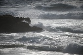 Enlarge photo 215