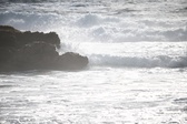 Enlarge photo 217
