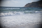 Enlarge photo 219