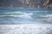 Enlarge photo 220