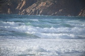 Enlarge photo 221
