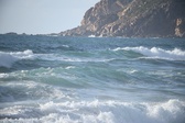 Enlarge photo 223