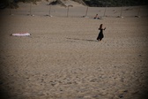 Enlarge photo 240
