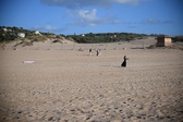 Enlarge photo 248