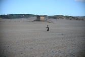 Enlarge photo 257