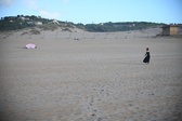 Enlarge photo 261