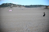 Enlarge photo 262