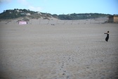 Enlarge photo 263