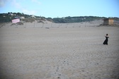 Enlarge photo 265