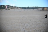 Enlarge photo 266