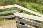 Enlarge photo 26