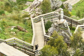Enlarge photo 42