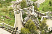 Enlarge photo 43
