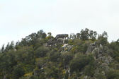 Enlarge photo 49