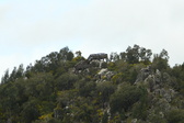 Enlarge photo 50