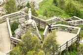 Enlarge photo 59