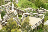 Enlarge photo 61