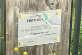 Enlarge photo 83