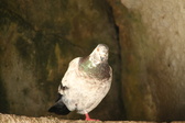 Enlarge photo 4