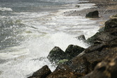 Enlarge photo 30