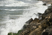 Enlarge photo 34