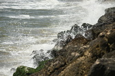 Enlarge photo 36